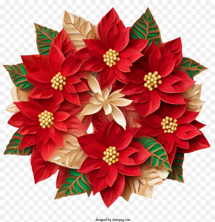 พวงหรีดคริสต์มาส Poinsettia，เซ็ตเซ็ตเซ็ต PNG