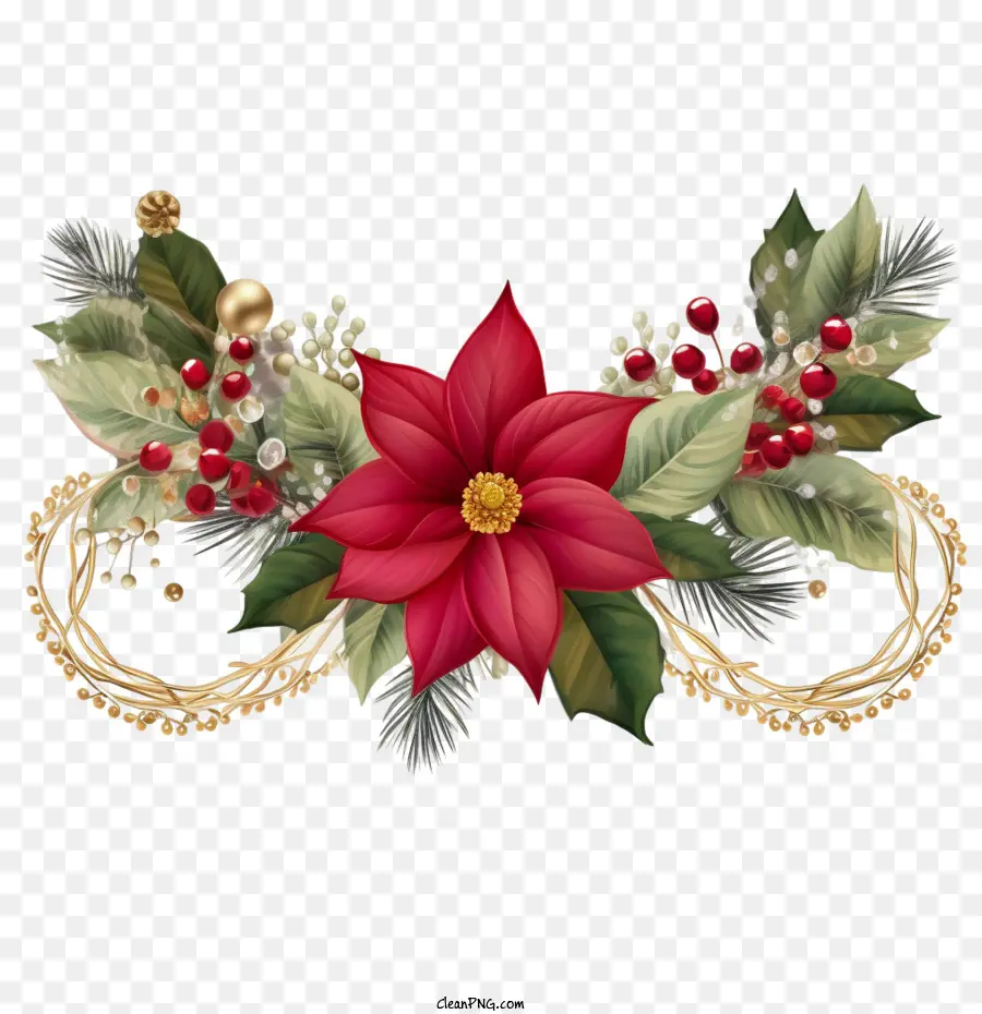 ชายแดน Poinsettia，เครื่องปนเปื้อน PNG