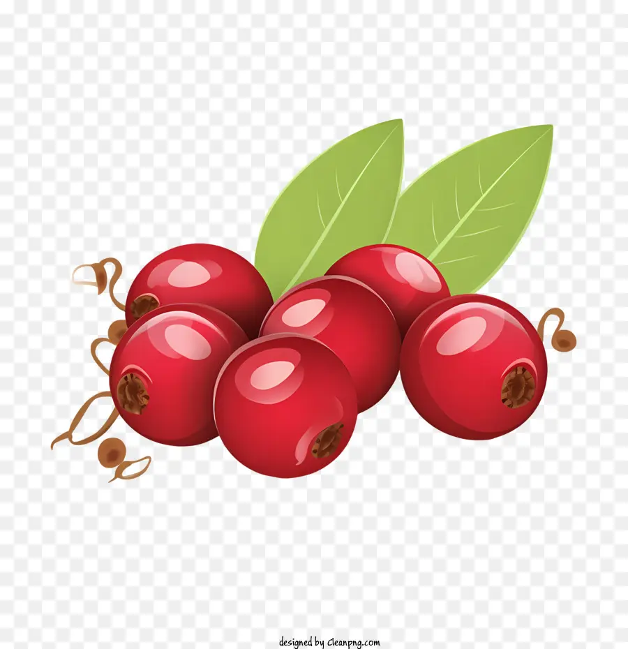 Cranberries，แอปเปิ้ล PNG