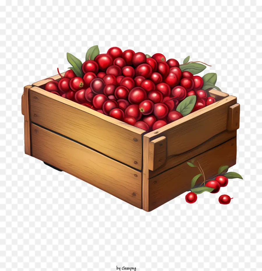 Cranberries，เชอรี่ PNG