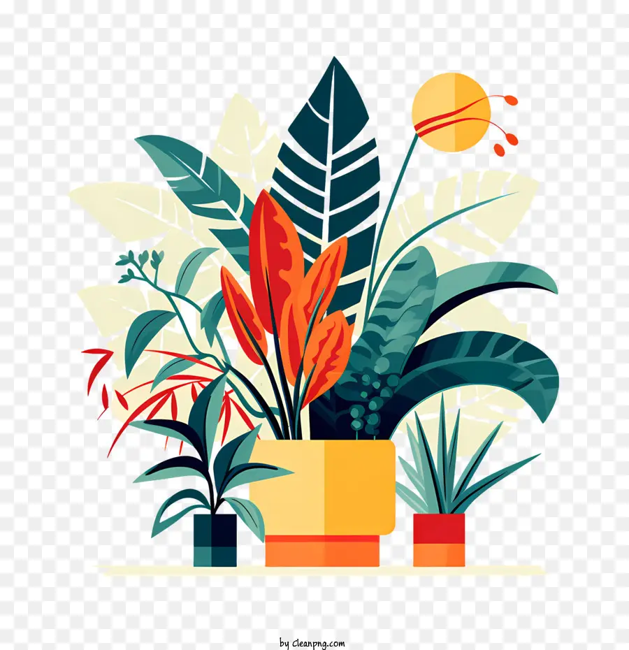 วันชื่นชม Houseplant，พืชสีสันสดใส PNG