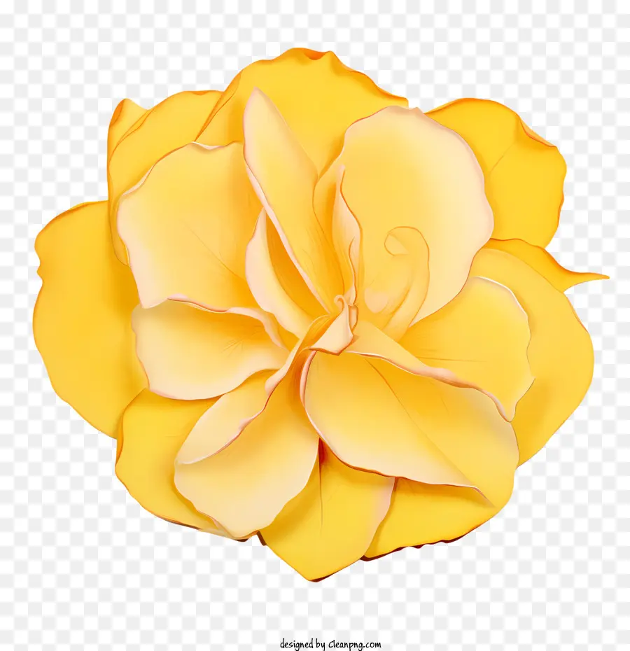 กลีบดอกกุหลาบสีเหลือง，กุหลาบ PNG