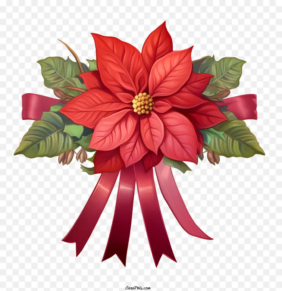 ดอกไม้ Poinsettia，เครื่องปนเปื้อน PNG