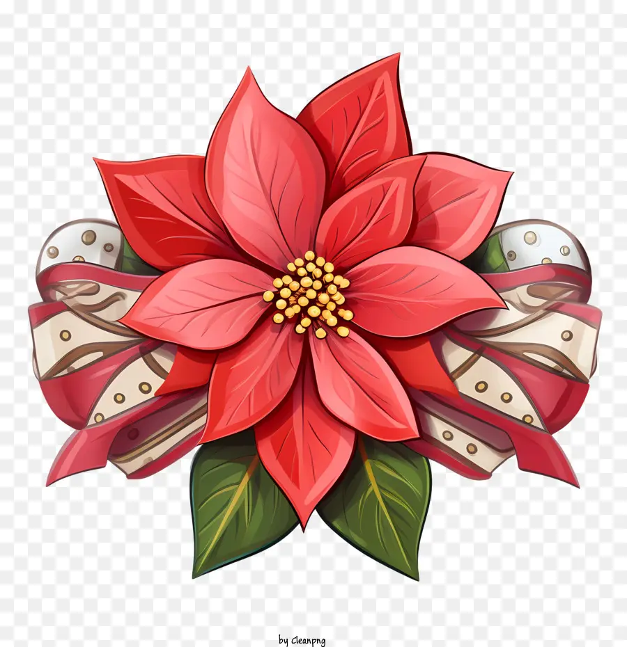 ดอกไม้ Poinsettia，เครื่องปนเปื้อน PNG