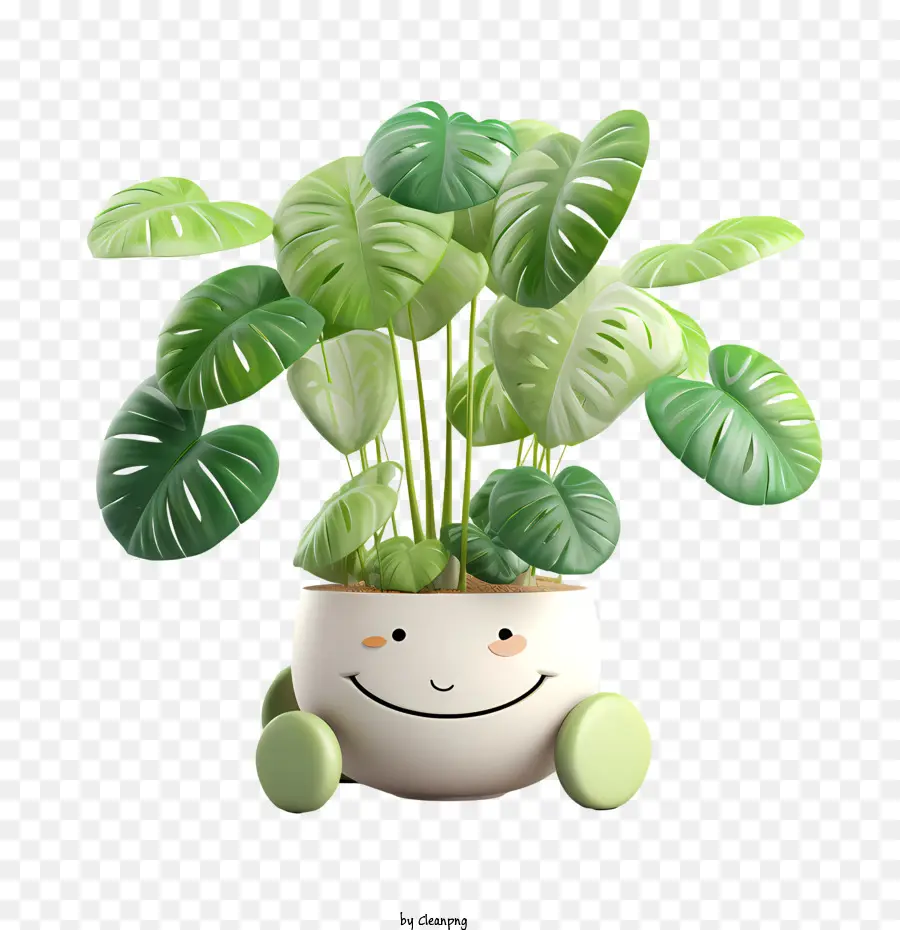 วันชื่นชม Houseplant，หม้อพืช PNG