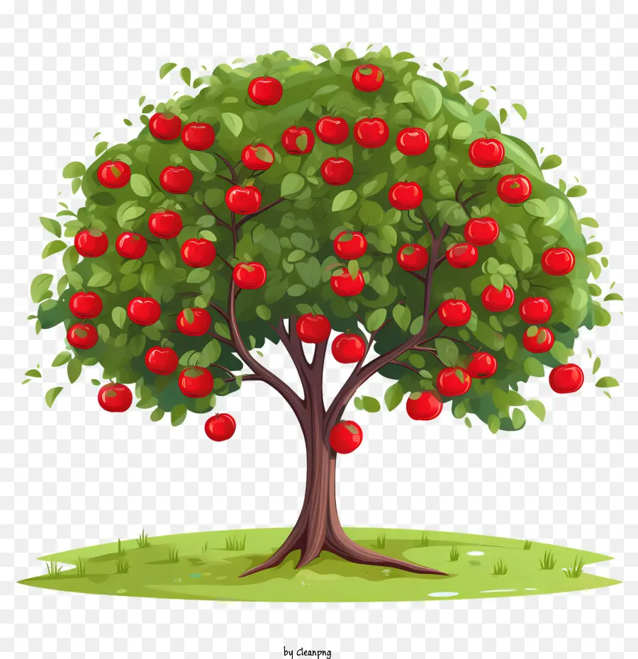 ผลไม้ต้นไม้，ต้นแอ๊บเปิ้ล PNG
