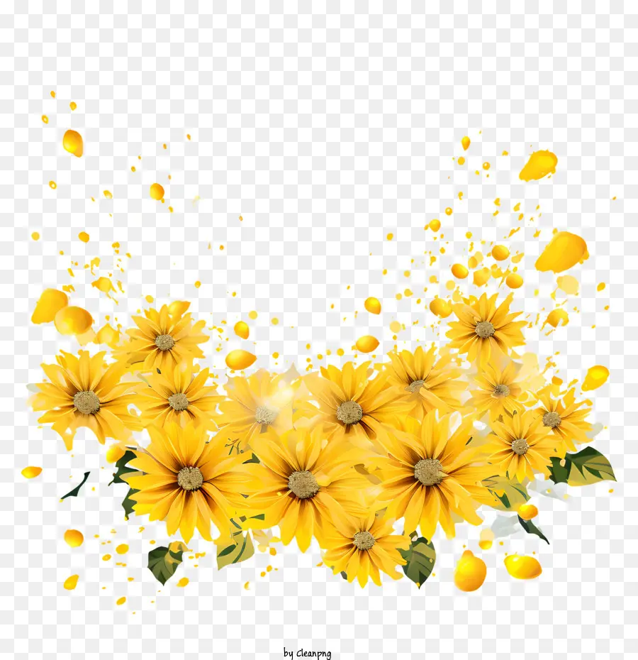 สีเหลืองดอกไม้，ทานตะวัน PNG