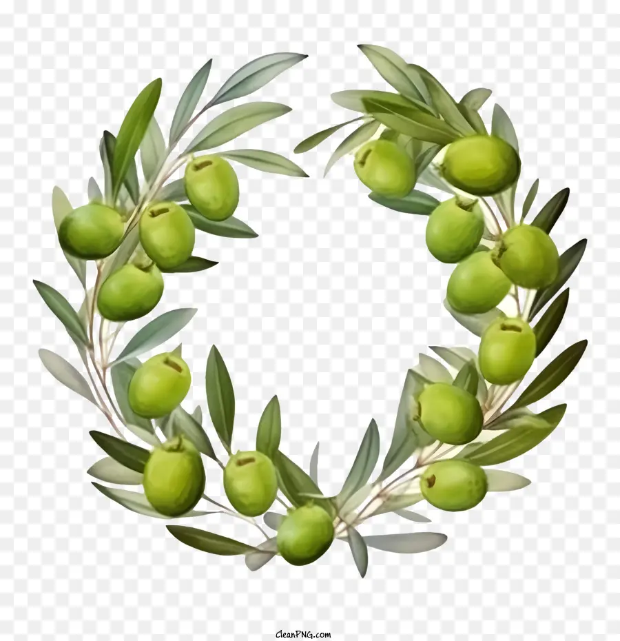 บมะกอกของ Wreath，สีเขียวทฤษฎีมะกอกของ PNG