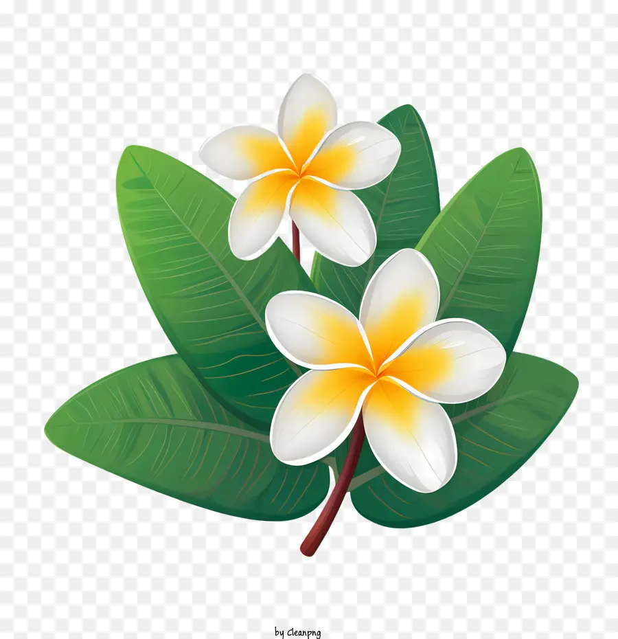 ดอกไม้ Frangipani，ดอกไม้สีเหลือง PNG