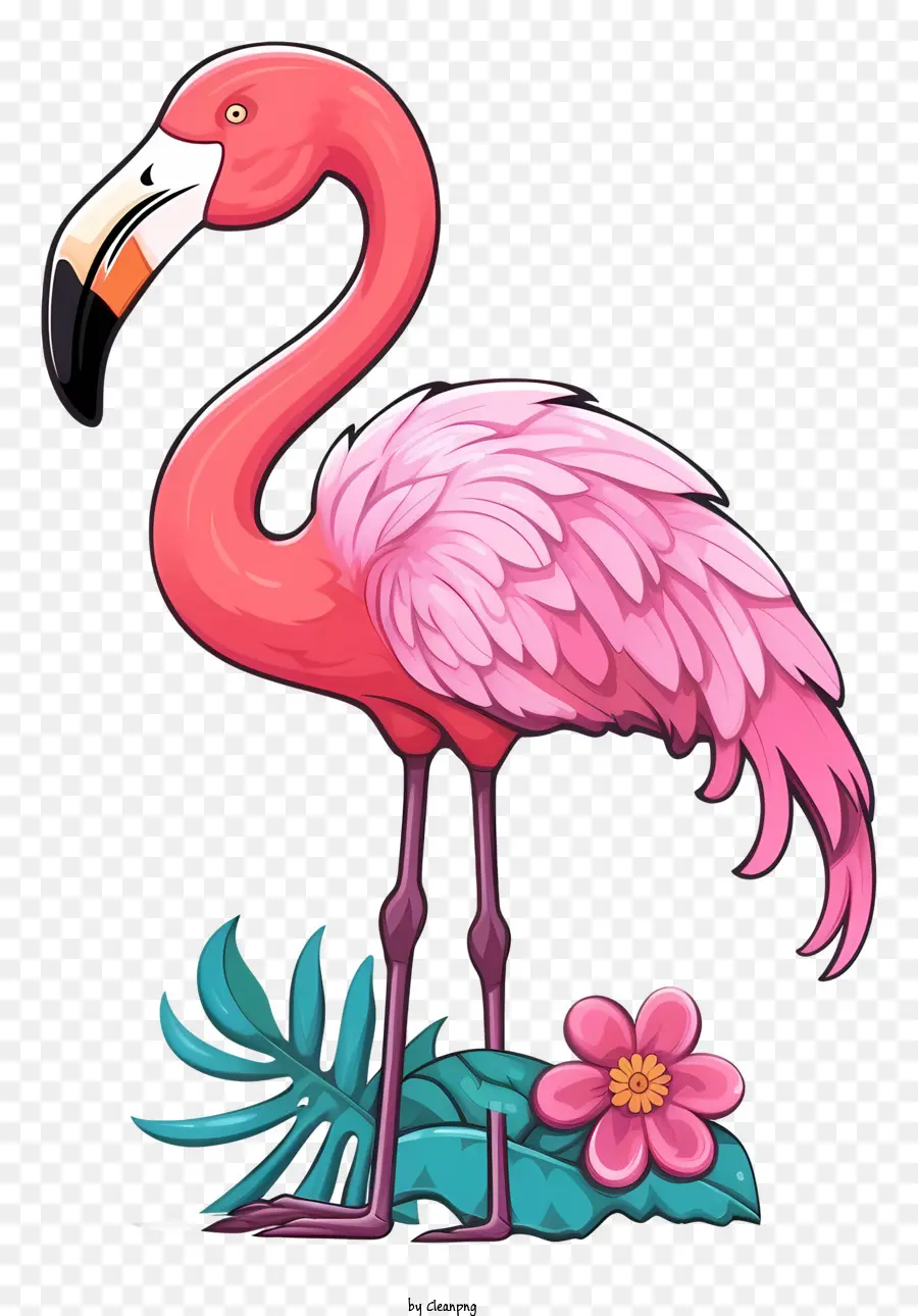 สีชมพู Flamingo，สีเขียวขนนกปลิวว่อ PNG