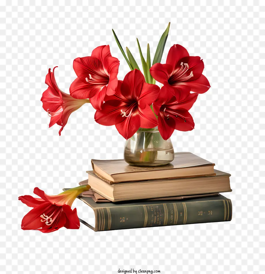 ดอกไม้ Amaryllis，ดอกไม้และหนังสือสีแดง PNG