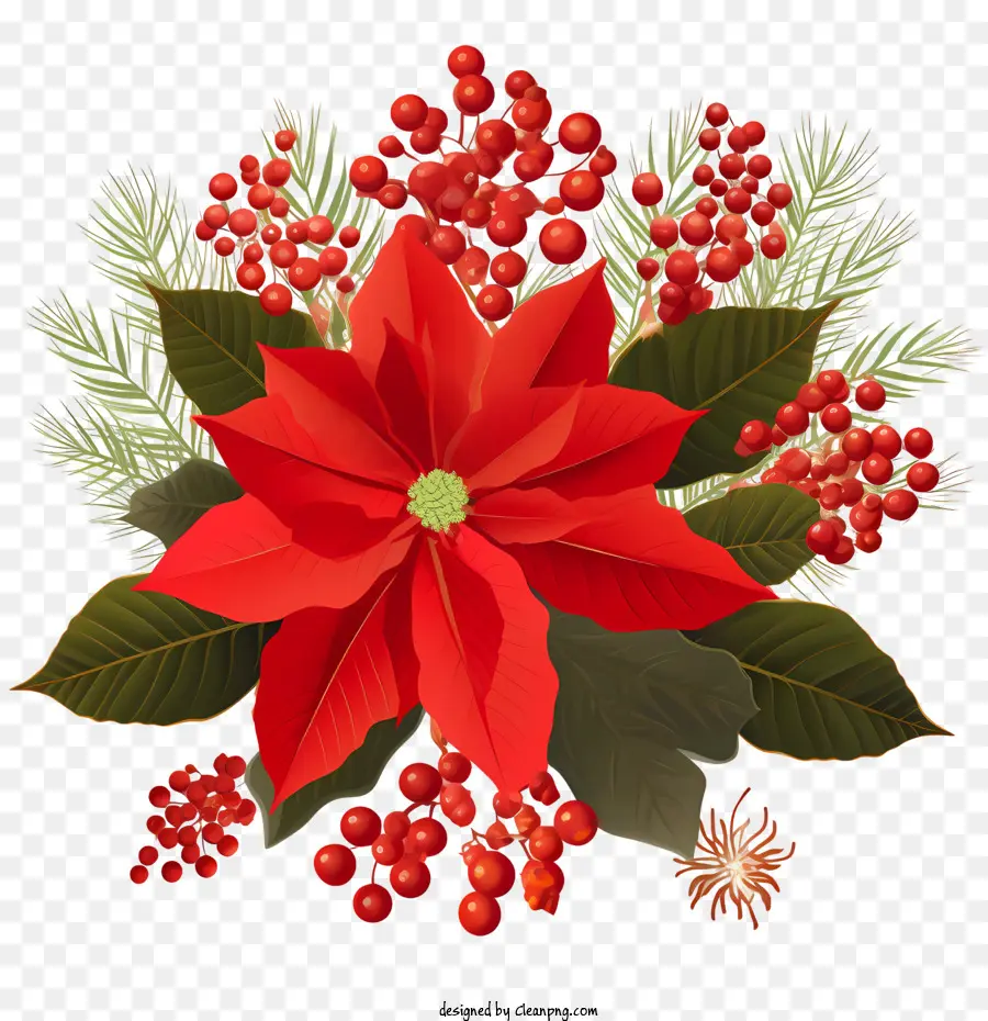 ดอกไม้ Poinsettia，ดอกไม้สีแดง PNG