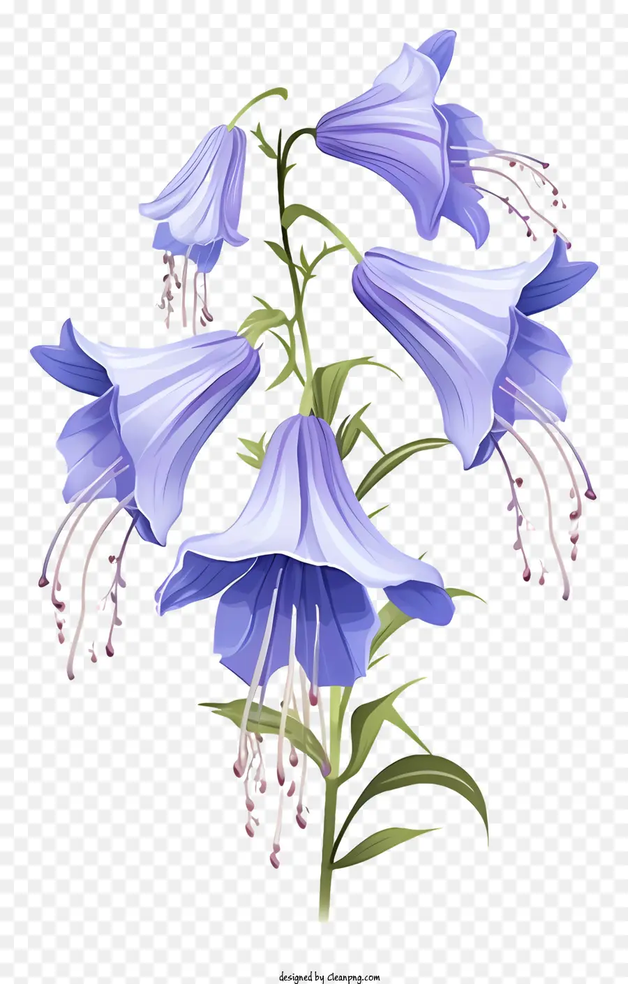 สีน้ำเงินดอกไม้，นาน Stems PNG