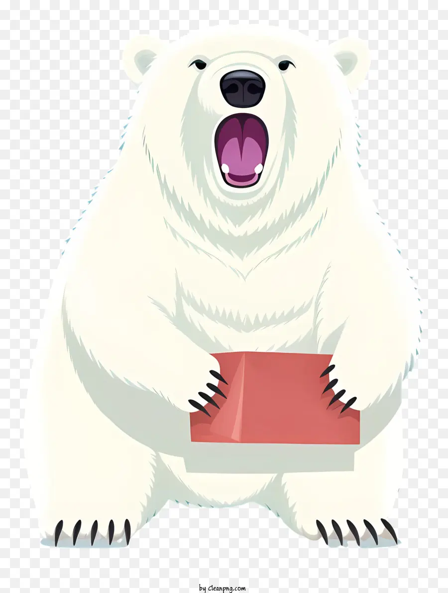 หมีขั้ว，กล่องสีแดง PNG