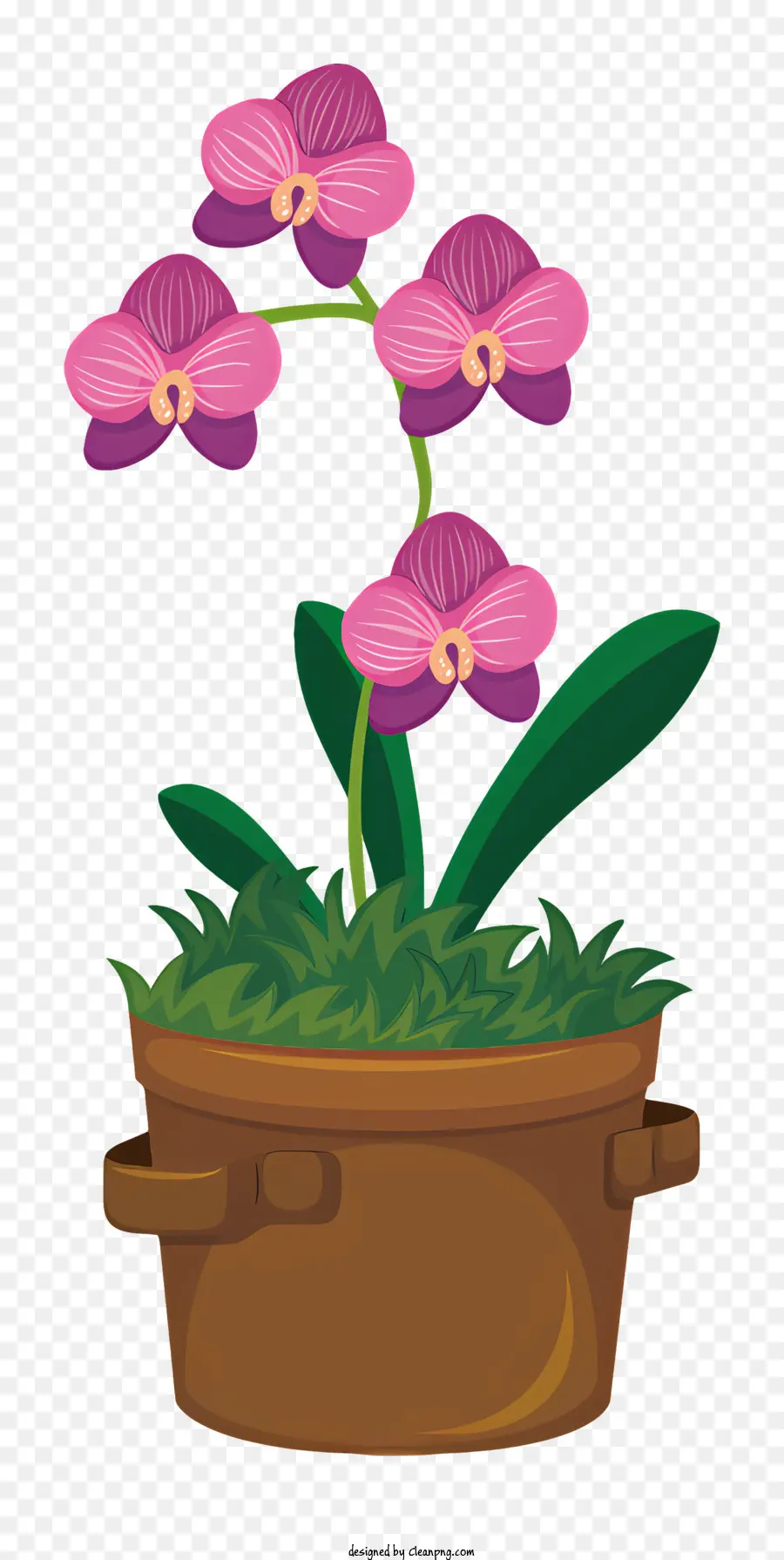 พืชกระถางขนาดเล็ก，ดอกไม้สีชมพู PNG