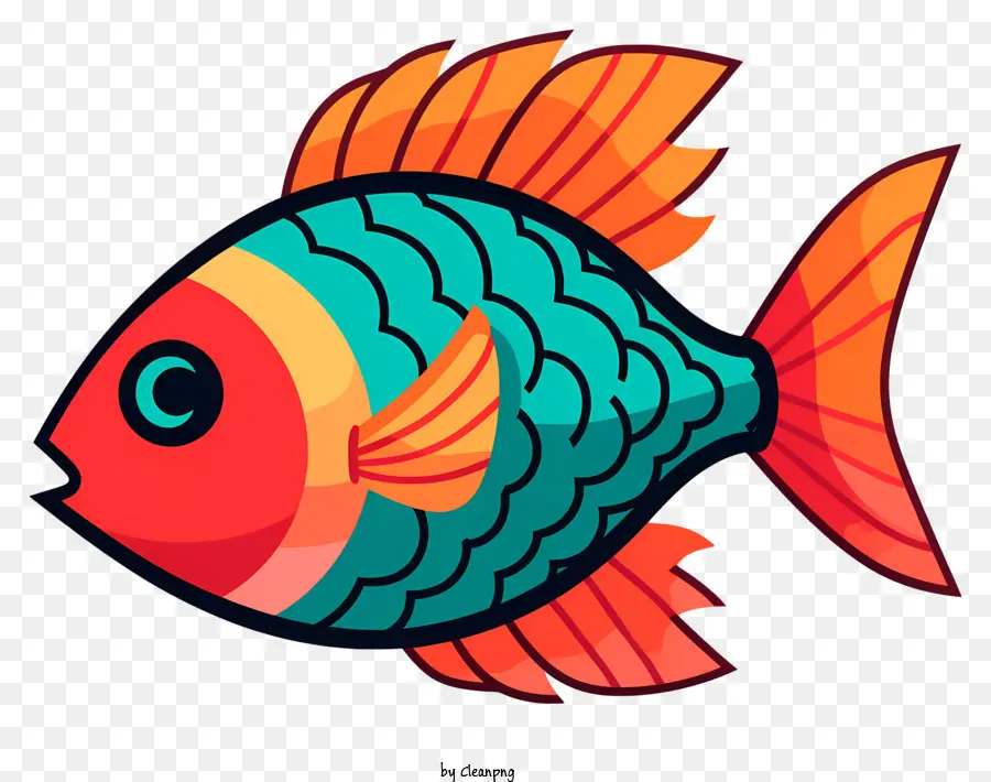 ปลาที่มีสีสรร，ปลาส้มลึก PNG