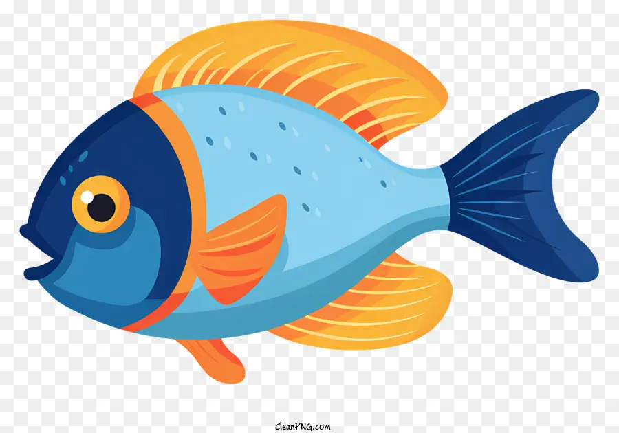 ปลา，ปลาสีฟ้าและสีส้ม PNG