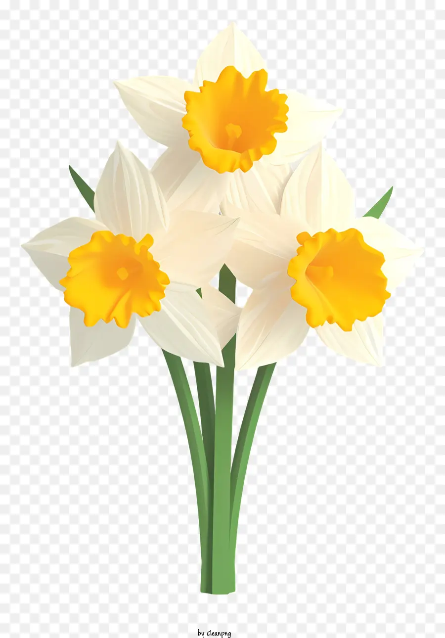 ดอกแดฟโฟดิลสีขาว，การจัดเรียงช่อดอกไม้ PNG