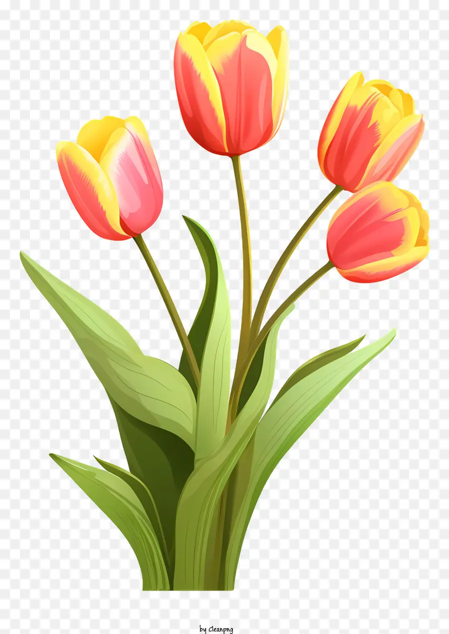 สีชมพู Tulips，จัดเรียงเป็นแถว PNG