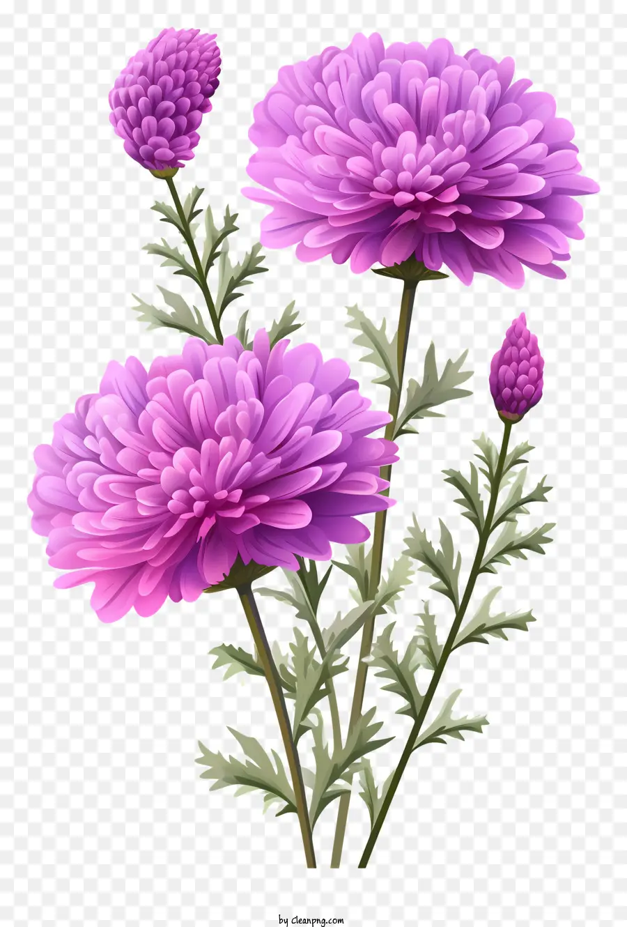 ดอกไม้สีชมพู，ช่อดอกไม้ PNG