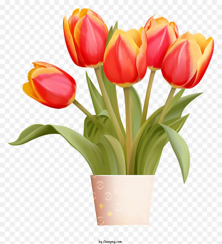 สีแดง Tulips，ช่อดอกไม้ PNG