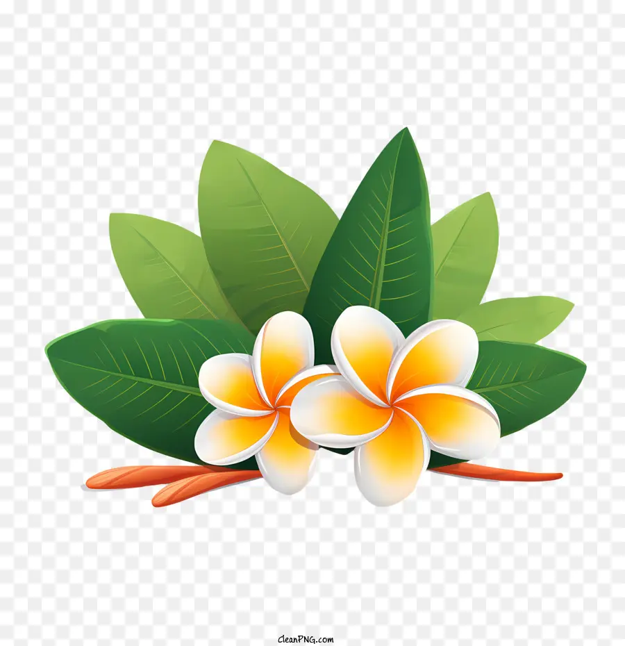 ดอกไม้ Frangipani，ดอกไม้สีเหลือง PNG