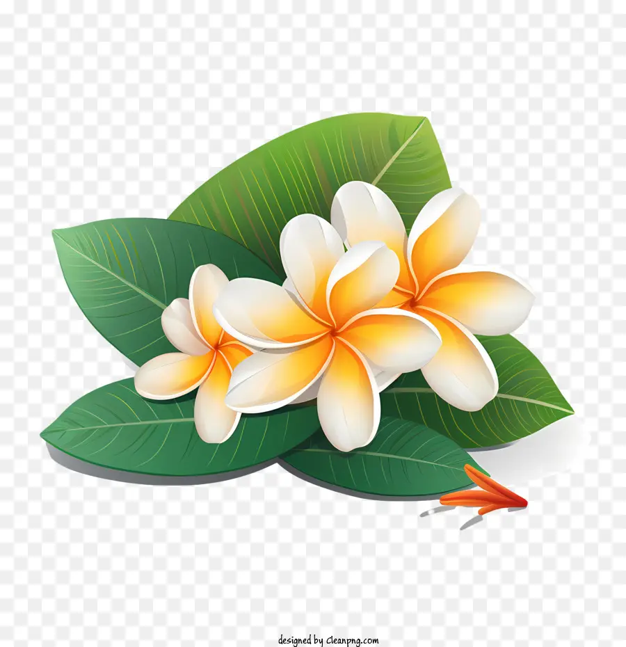 ดอกไม้ Frangipani，ดอกไม้สีเหลือง PNG