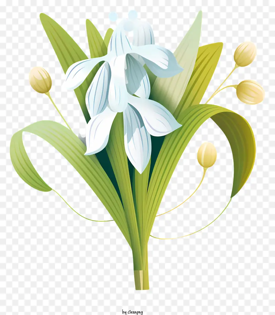 ดอกไม้สีขาว，ช่อดอกไม้ PNG