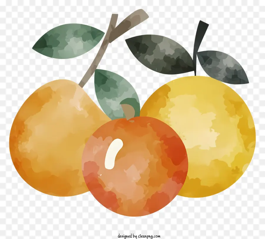 ผลไม้，สีส้ม PNG