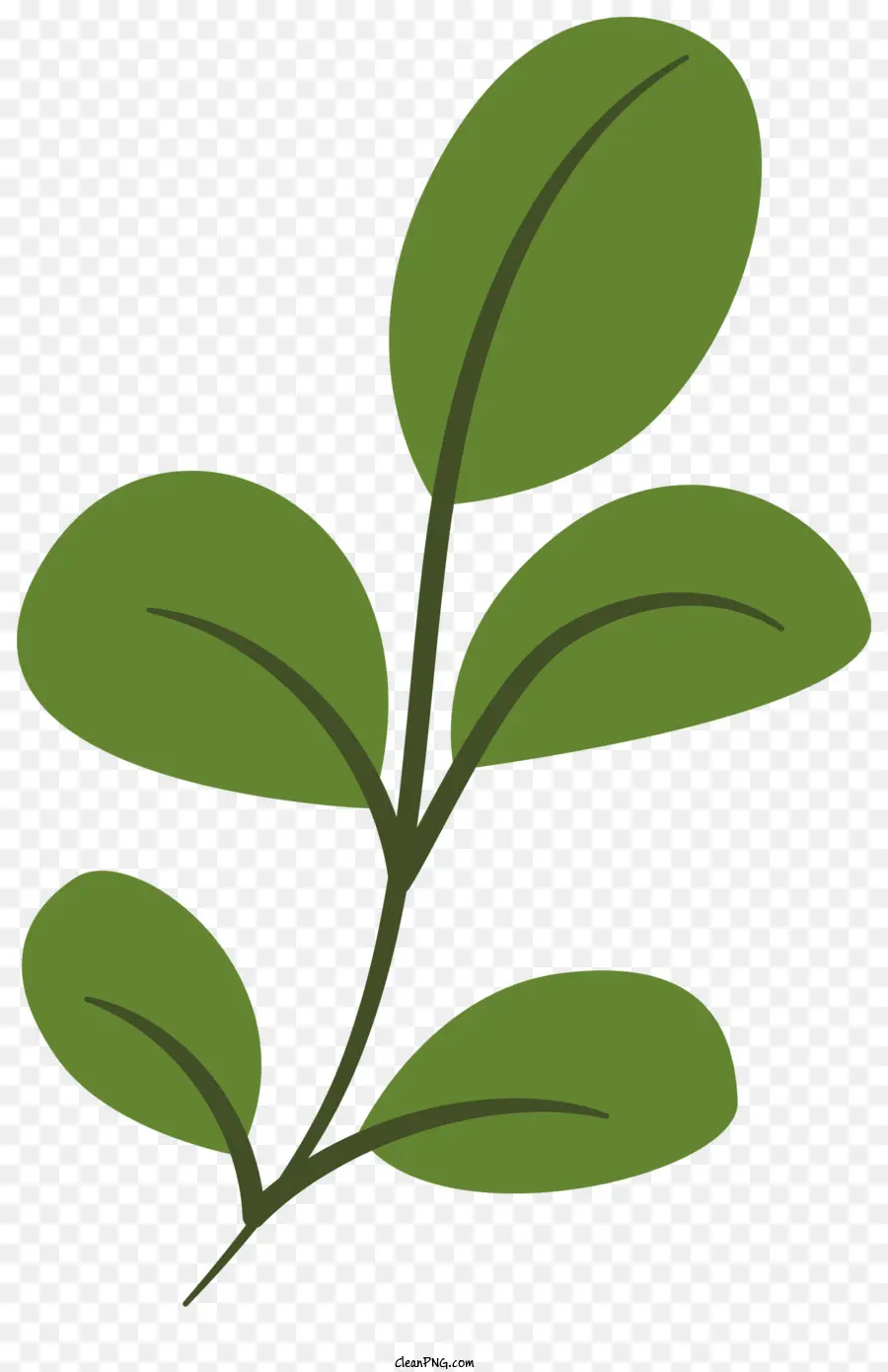 Leafy ต้นไม้，ใบไม้สีเขียว PNG