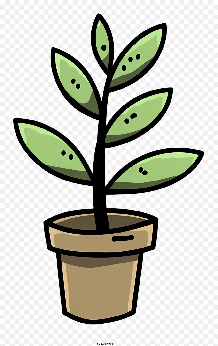 พืชกระถางขนาดเล็ก，ใบไม้สีเขียว PNG