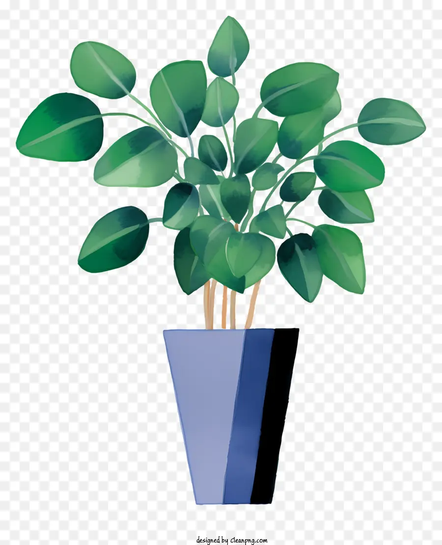 พืชกระถางขนาดเล็ก，ใบไม้สีเขียว PNG