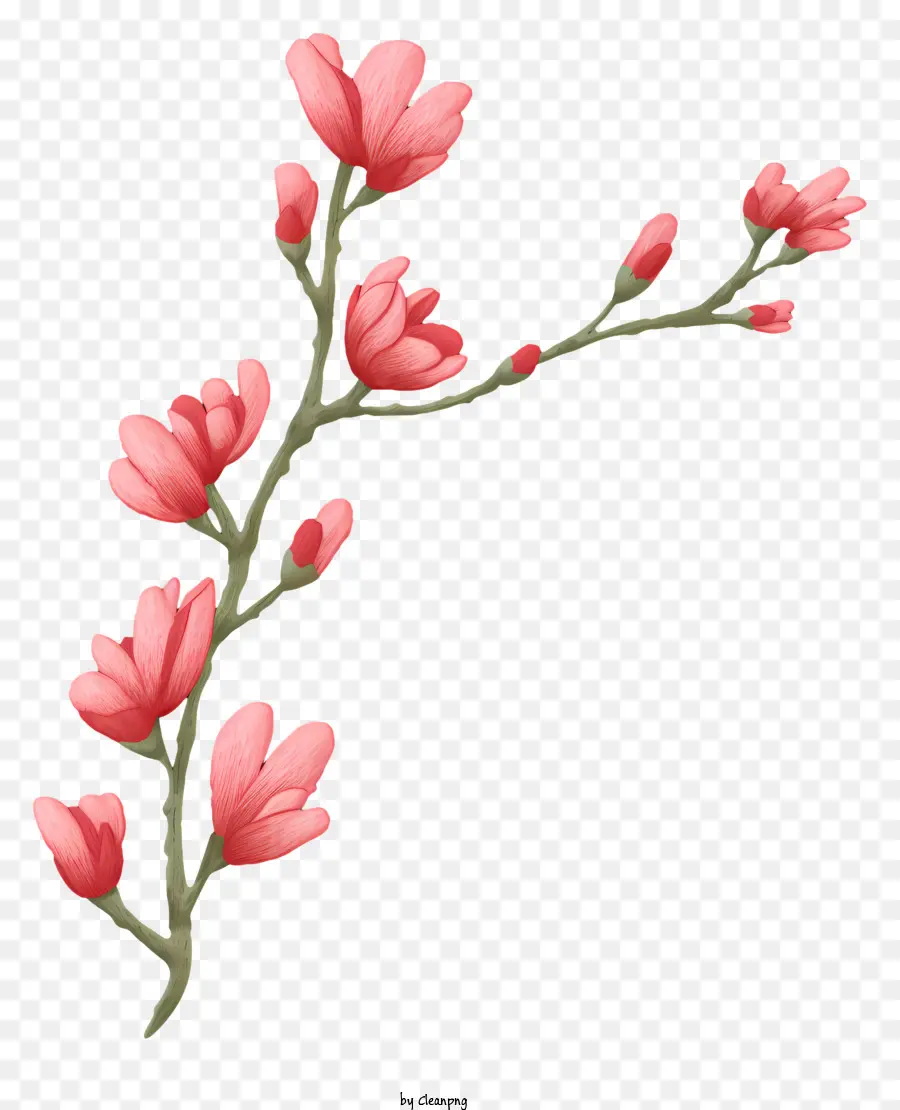 ดอกไม้เล็กๆ，ดอกไม้สีชมพู PNG