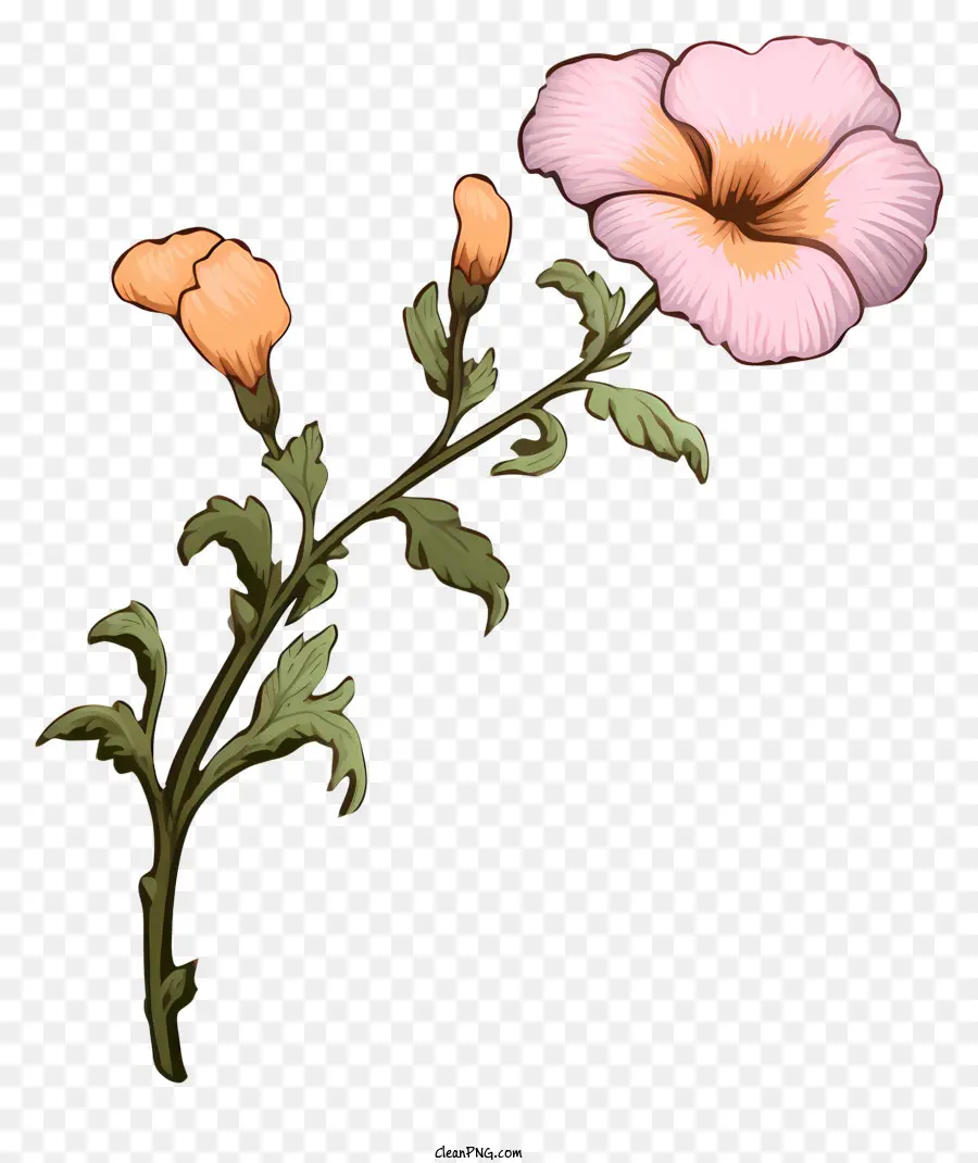 ดอกไม้สีชมพู，ลำต้นกับใบไม้ PNG