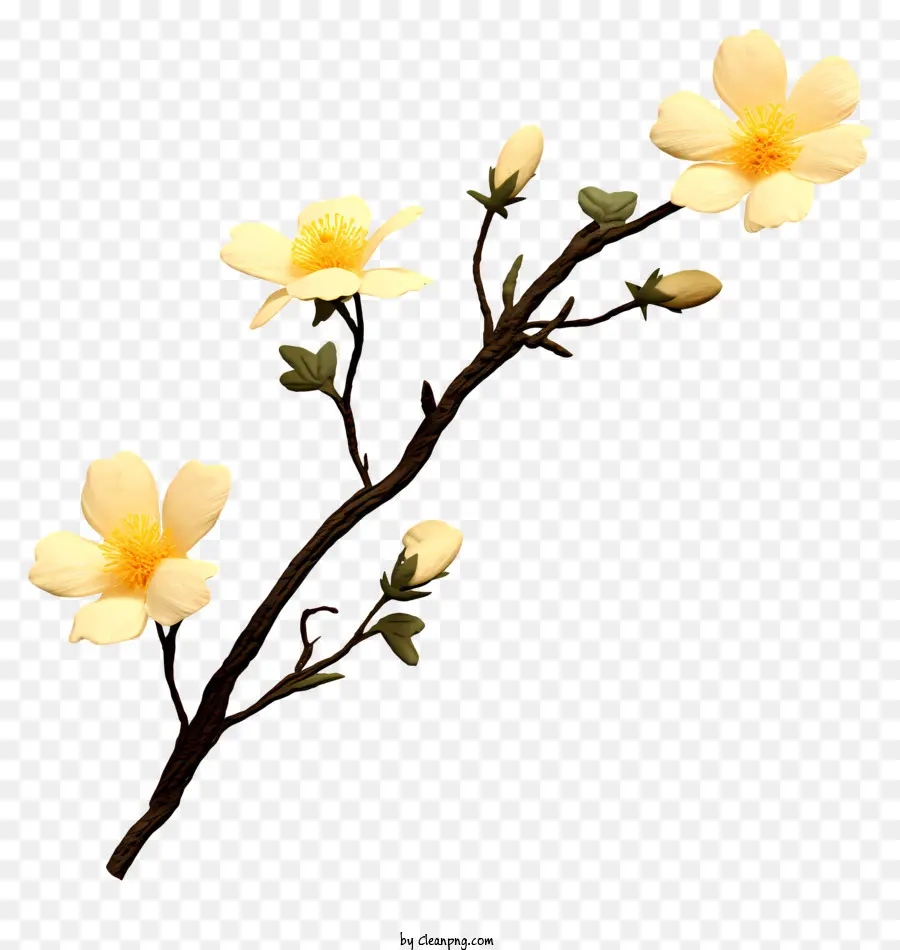 ดอกไม้สีขาว，สีเหลือง Petals PNG
