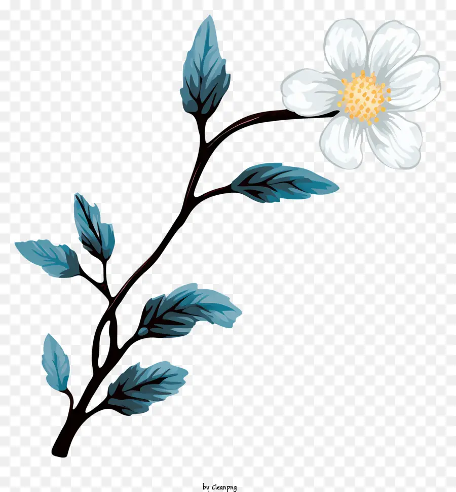 ดอกไม้สีขาว，สีน้ำเงินเหลือ PNG