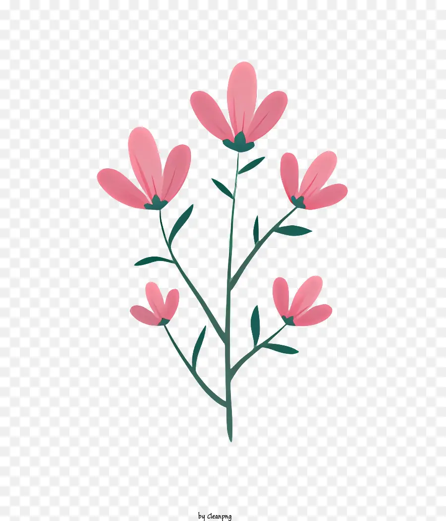 ดอกไม้สีชมพู，บานเดี่ยว PNG