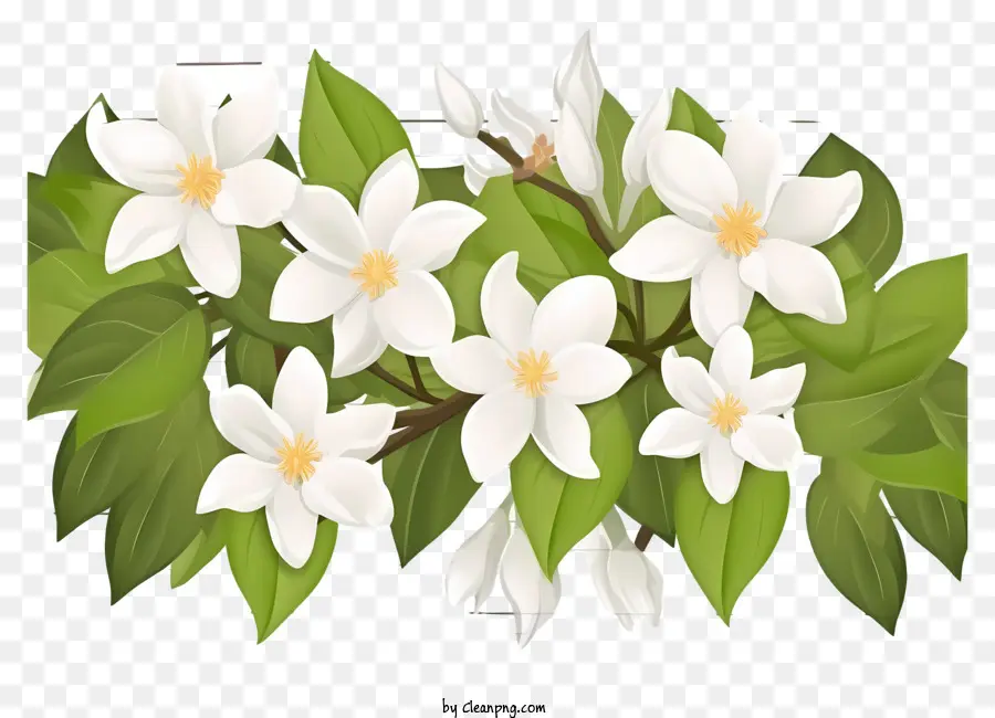 อาลีโอ้อาลีมานี่หน่อยดอกไม้，ดอกไม้สีขาว PNG