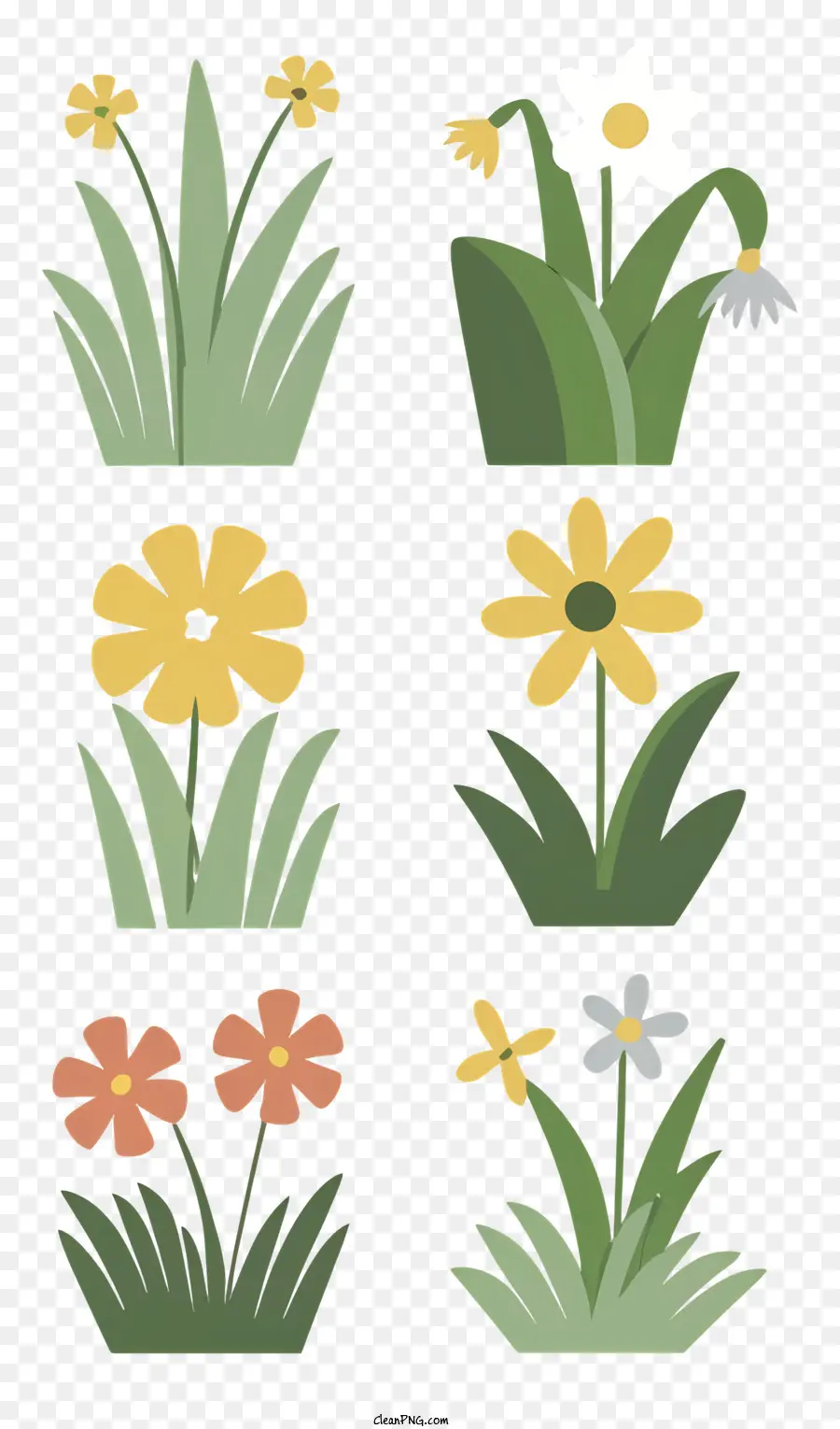 ดอกไม้ Illustrations，แต่มาตินจะไม่เขาเป็นอย่างนั้ดอกไม้ PNG