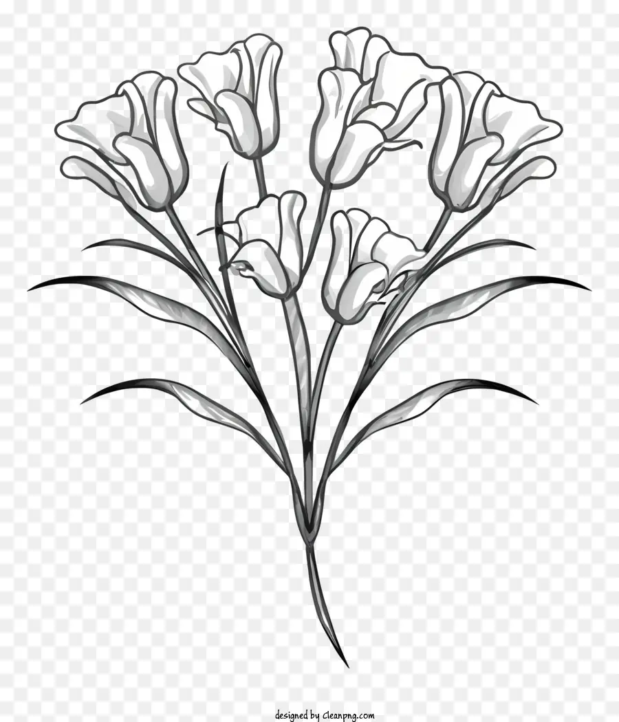 สีขาว Lilies，ช่อดอกไม้ PNG