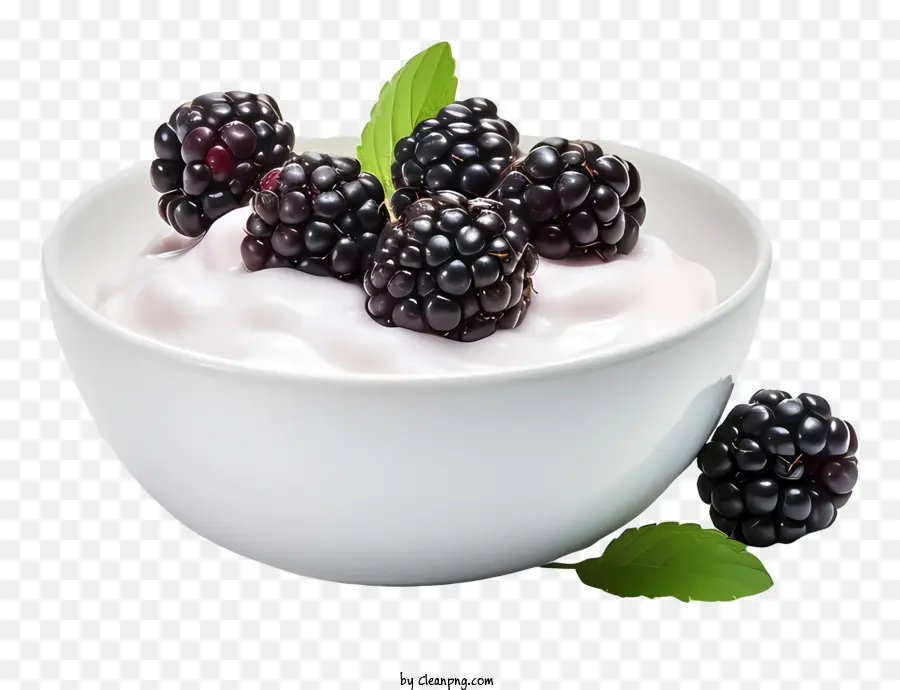 Blackberries，สีขาวอร์โบวล์ PNG