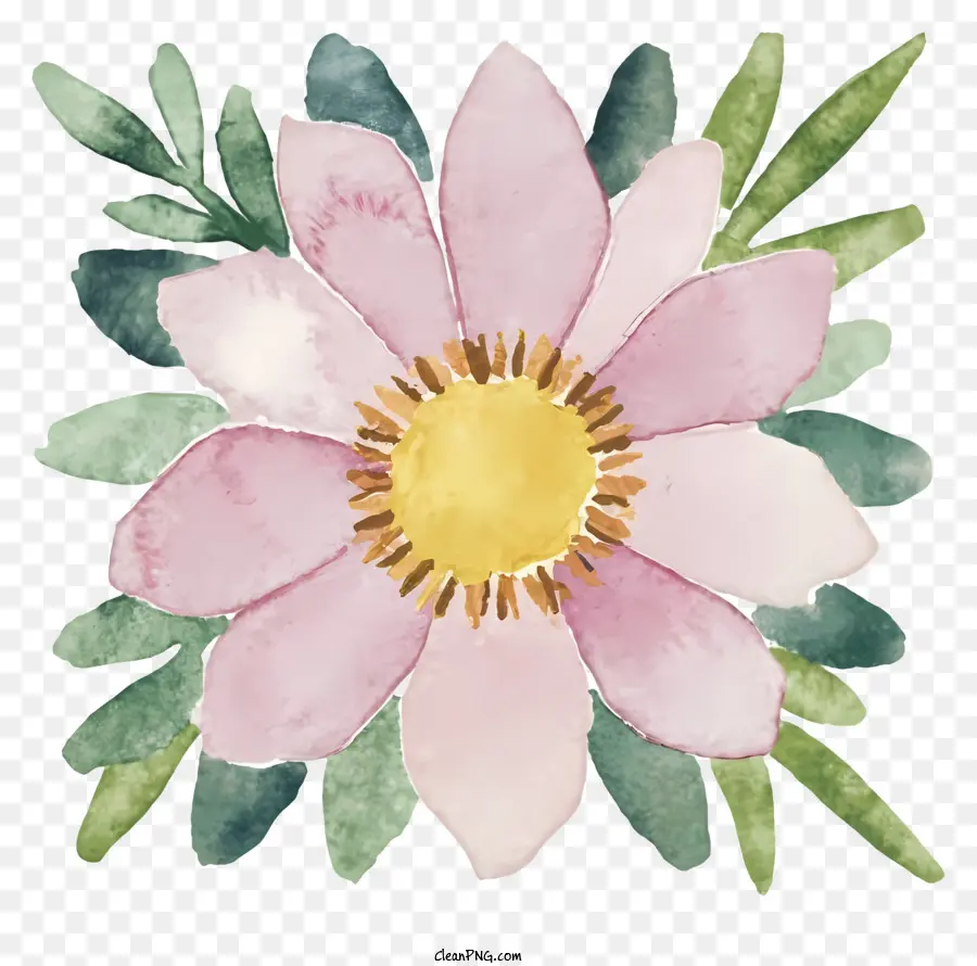 สีวาดรูป，ดอกไม้สีชมพู PNG