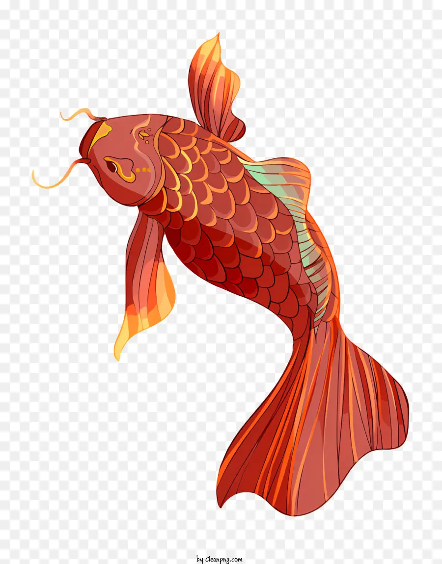 แดงปลา，สีส้มปลา PNG