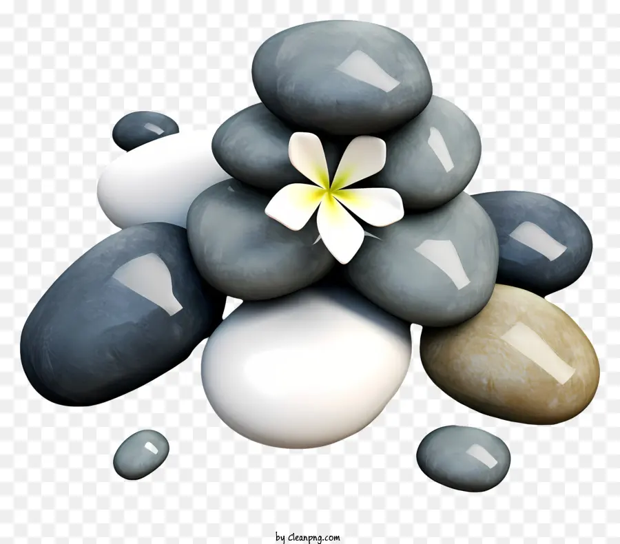 ก้อนหิน，ดอกไม้ PNG