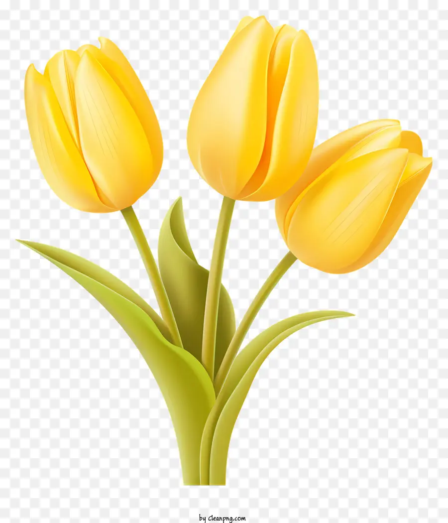 สีเหลือง Tulips，เสื้อเกราะ PNG