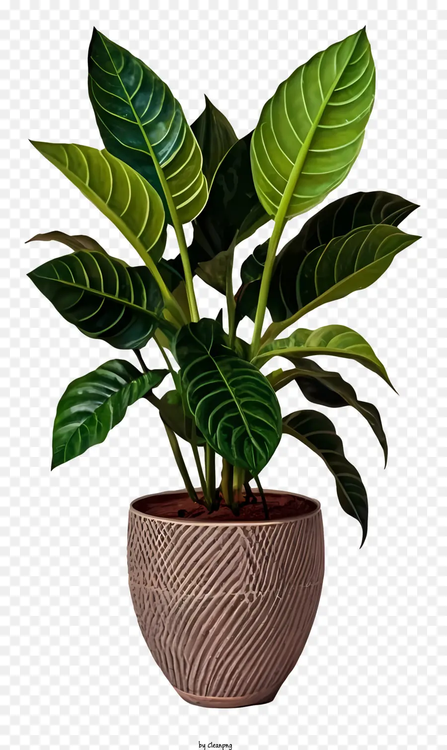 พืชในแจกัน，ขนาดใหญ่สีเขียวเหลือ PNG