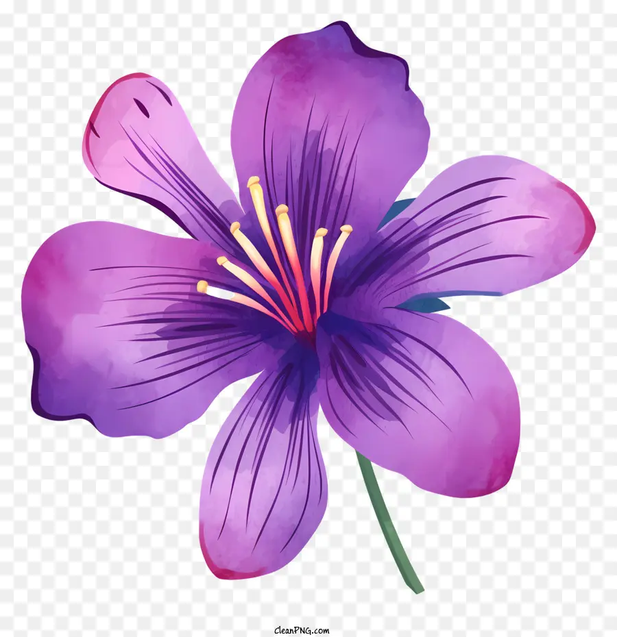 ดอกไม้สีม่วง，ห้า Petals PNG
