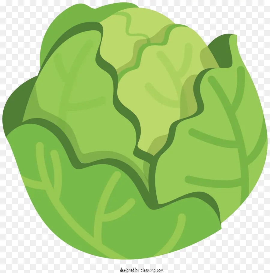 การ์ตูนปัก Cabbage，ผักใบเขียว PNG