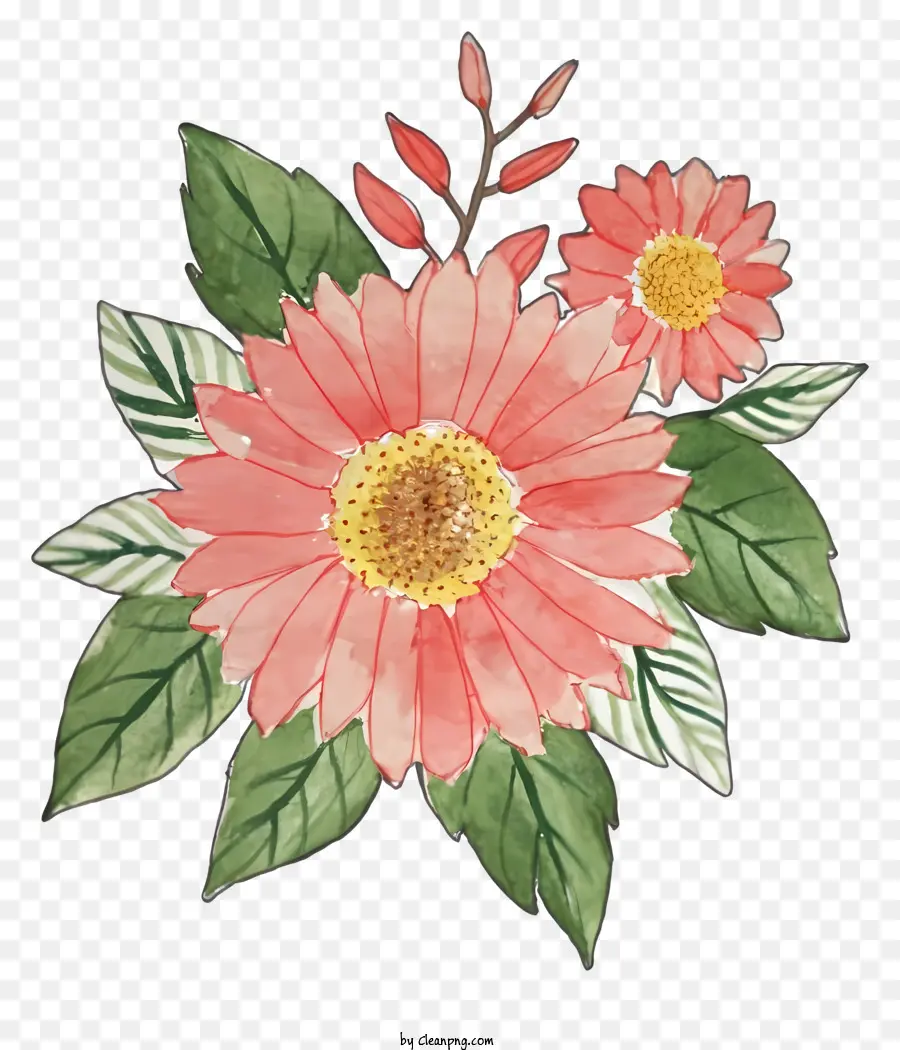 ดอกไม้，บานสีชมพู PNG