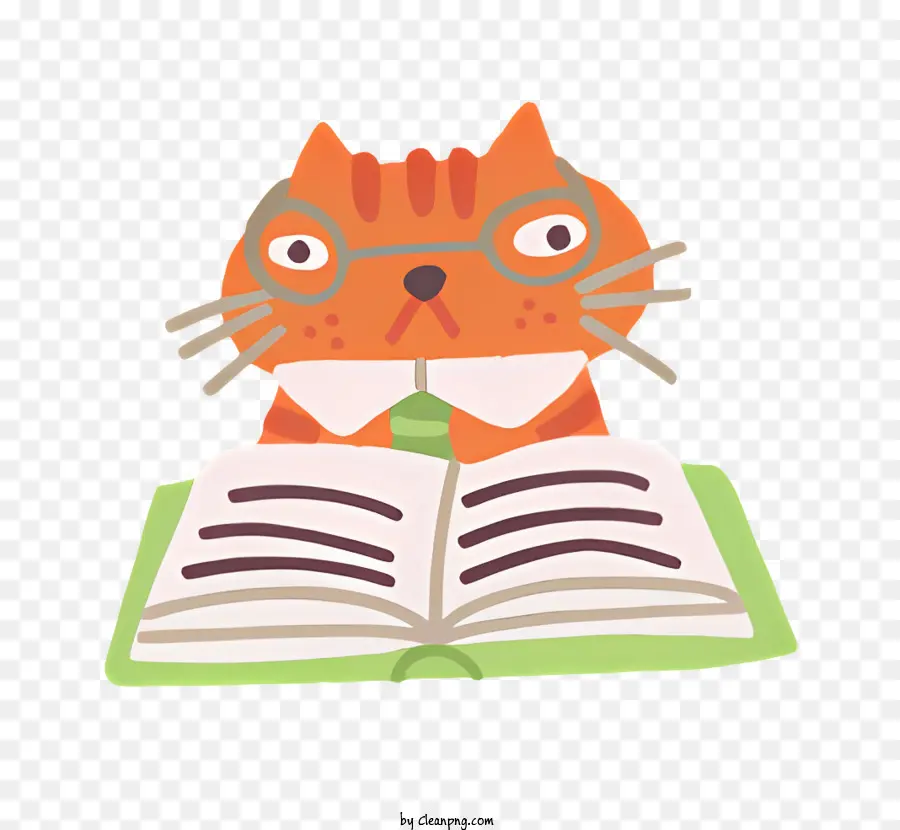 แมวแท็บบี้สีส้ม，Cat On Book PNG